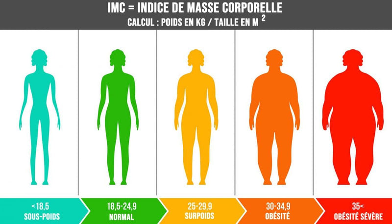 IMC : Comment le calculer et interpréter son résultat pour un équilibre de vie global