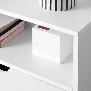 Meuble à chaussure avec 2 porte et deux charnières -