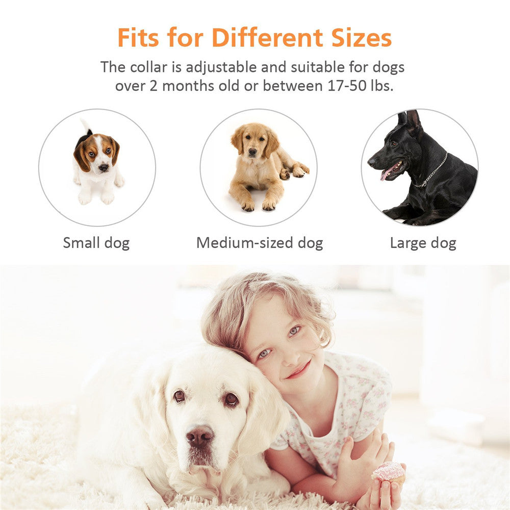 collier anti aboiement électrostatique -