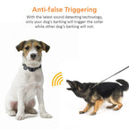 collier anti aboiement électrostatique -