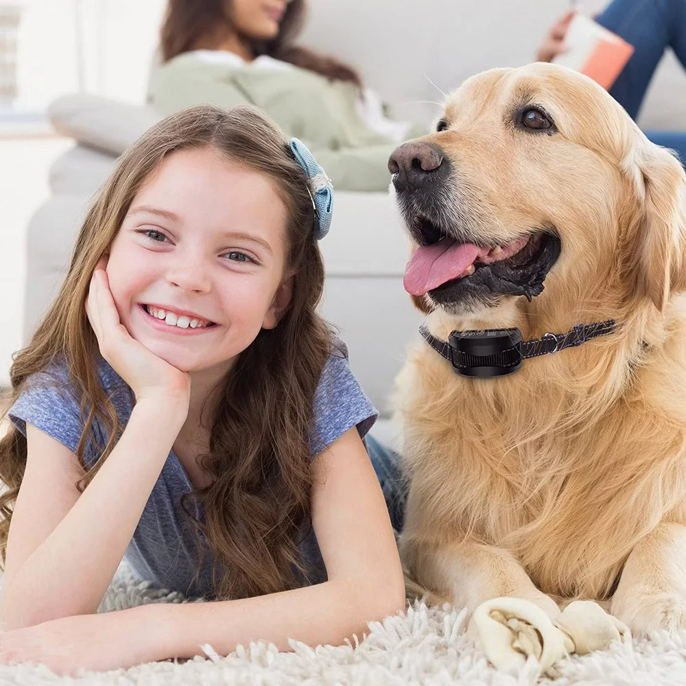 collier anti aboiement électrique imperméable -