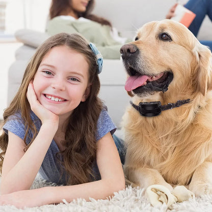 collier anti aboiement électrique imperméable -