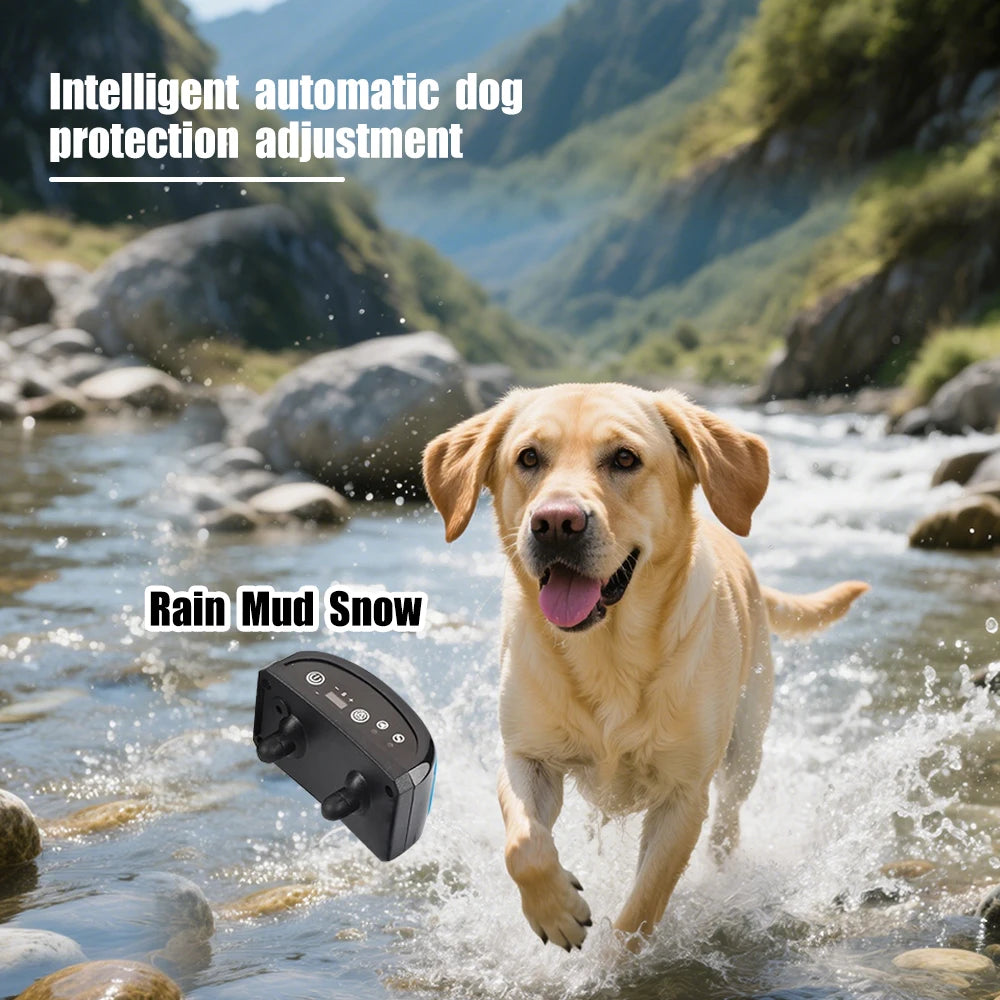 collier anti aboiement rechargeable avec USB -