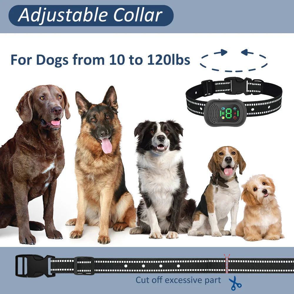 collier anti aboiement avec télécommande + USB rechargeable -