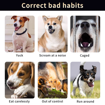 collier anti aboiement rechargeable -