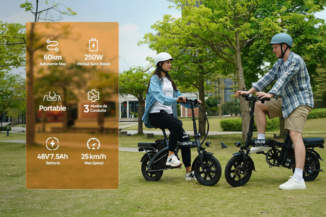 Vélo électrique Adulte Moteur 250 W, Batterie 48 V 7,5 Ah et Style unisexe