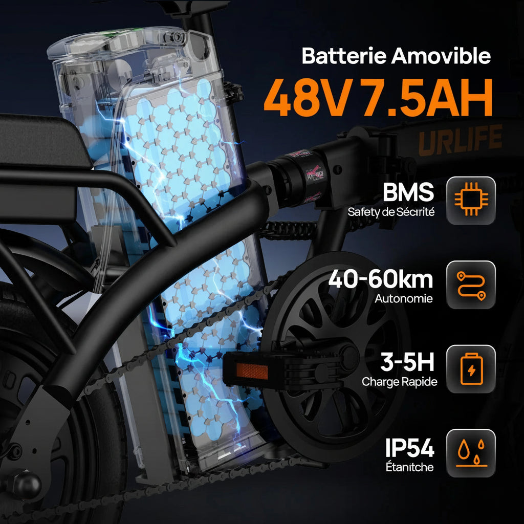 Vélo électrique Adulte Moteur 250 W, Batterie 48 V 7,5 Ah et Style unisexe