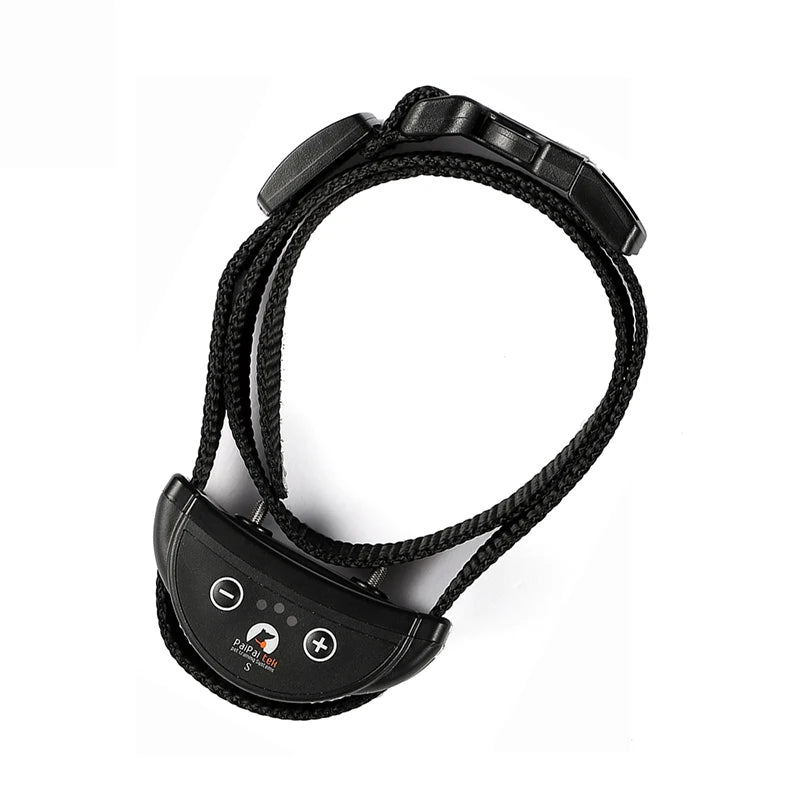 collier anti aboiement pour chien mignon -
