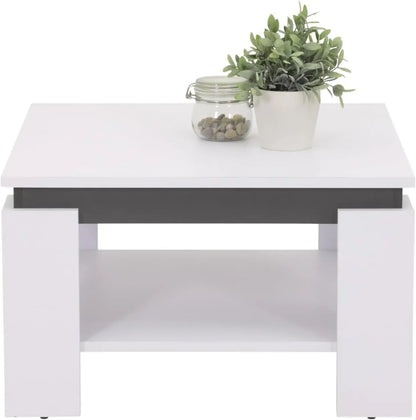 Table basse bois salon moderne -