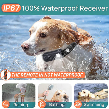 collier anti aboiement avec télécommande ajustable -