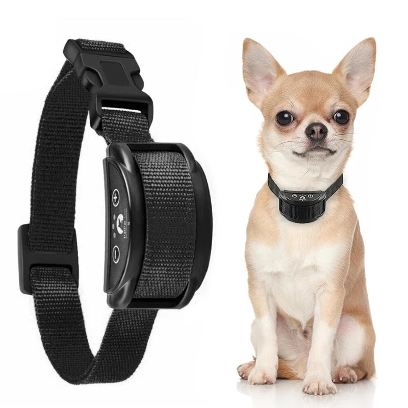 collier anti aboiement petit chien Ultrasonique -