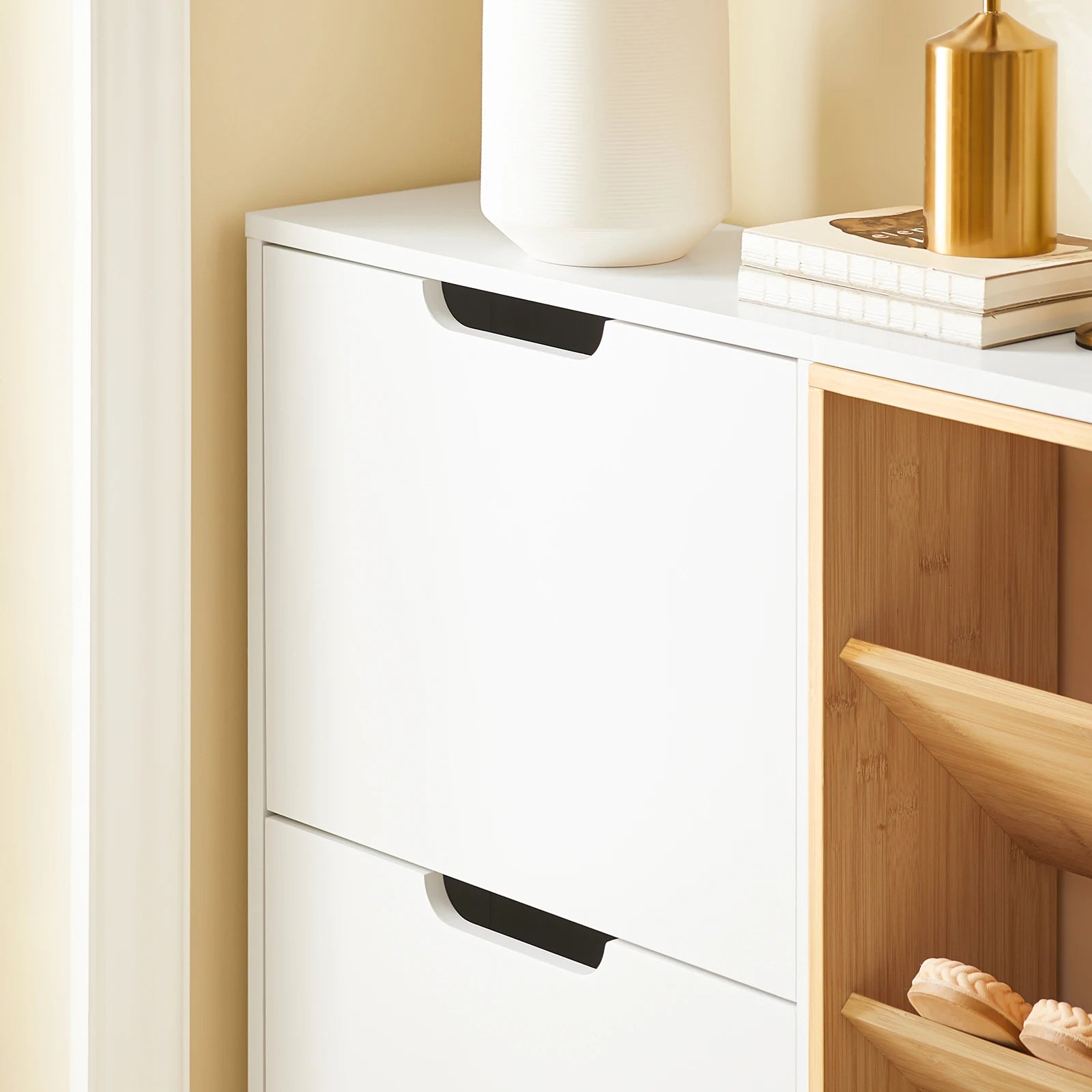 Meuble à chaussure originale et moderne -