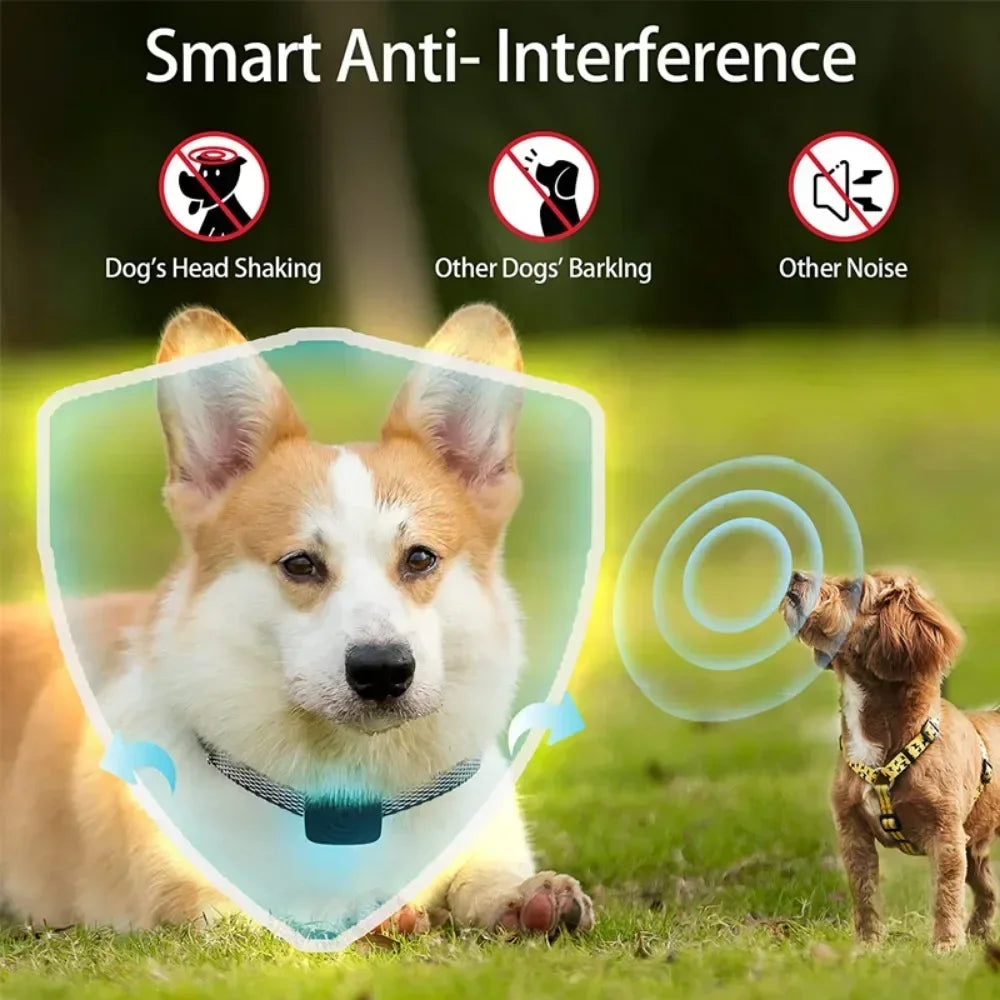 collier anti aboiement Ultrasonique Intelligent -