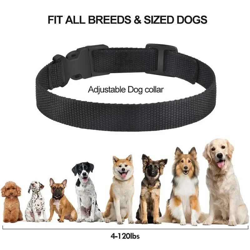 collier anti aboiement électrique tendance -