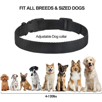 collier anti aboiement électrique tendance -