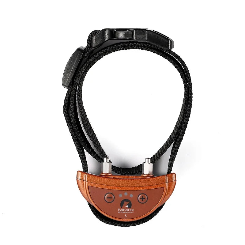 collier anti aboiement pour chien mignon -