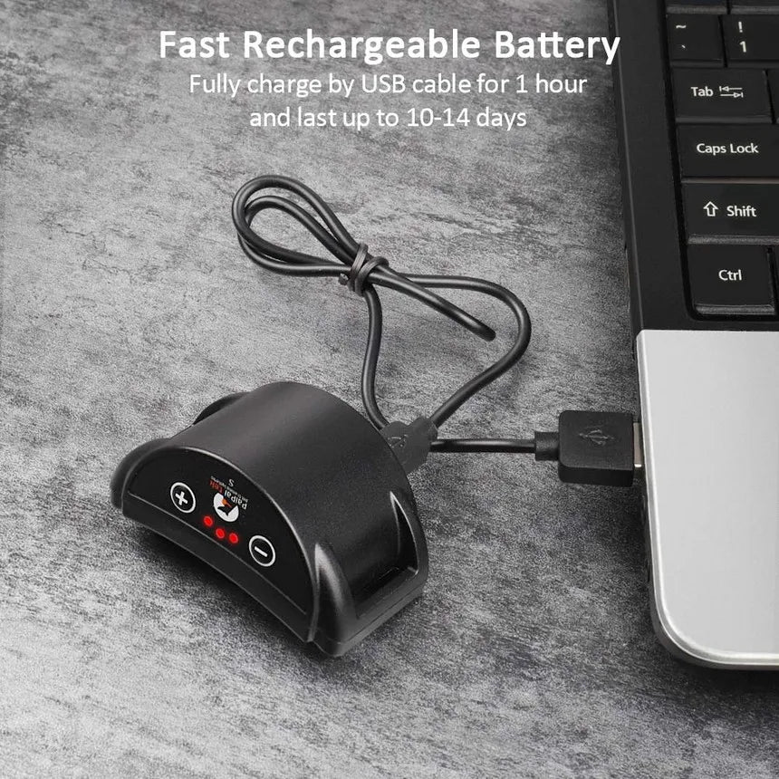 collier anti aboiement pour chien mignon -