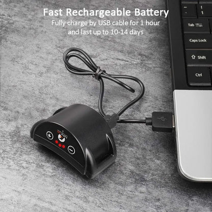 collier anti aboiement pour chien mignon -