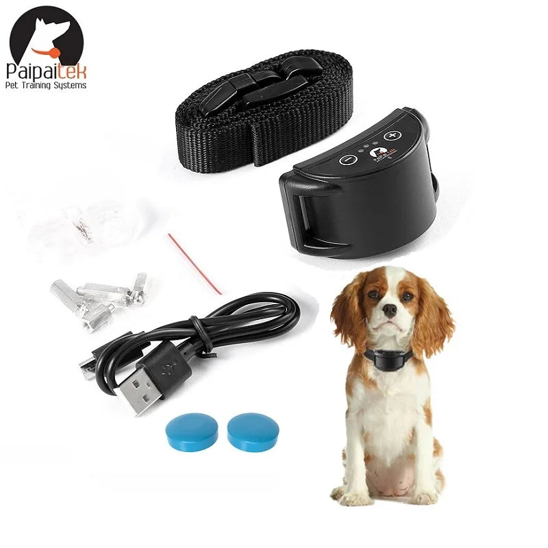 collier anti aboiement pour chien mignon -