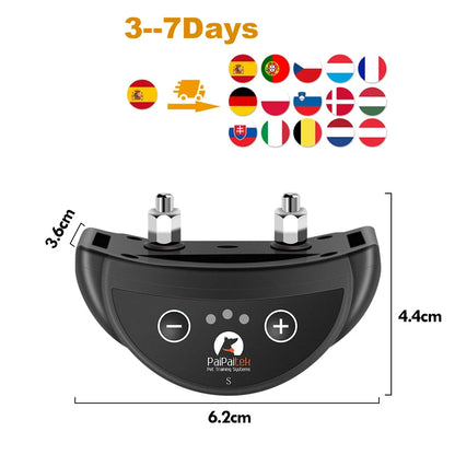 collier anti aboiement pour chien mignon -
