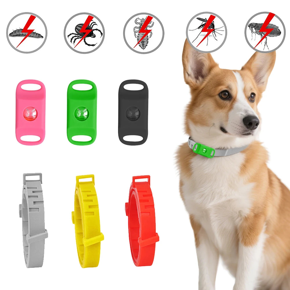 collier anti aboiement rechargeable avec USB -