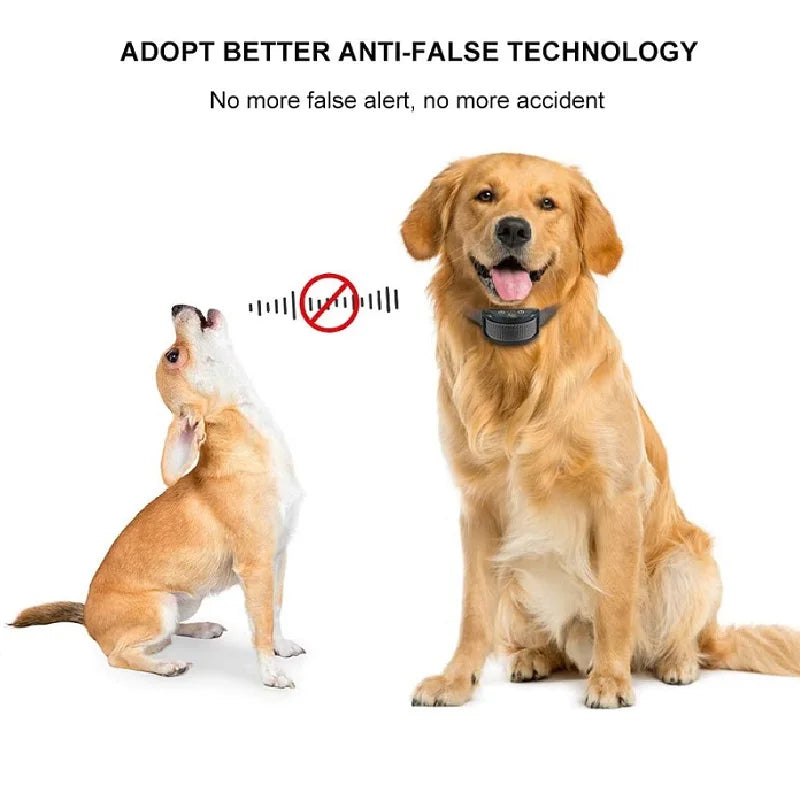 collier anti aboiement électrique tendance -