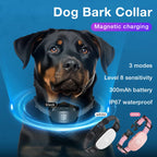 collier anti aboiement électrochoc moderne -