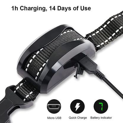 collier anti aboiement électrique imperméable -