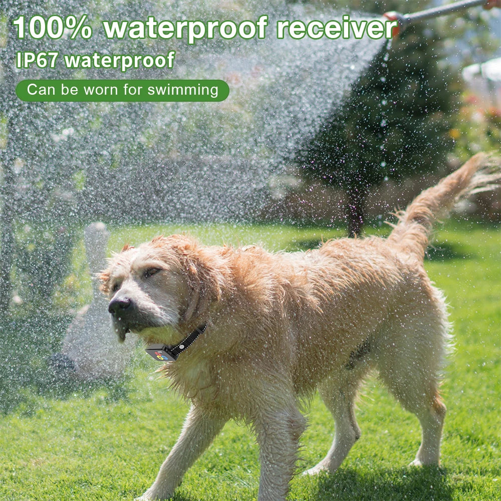 collier anti aboiement rechargeable -