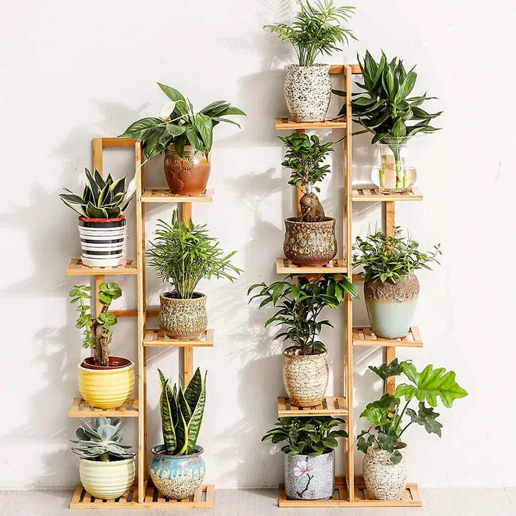 Étagère plante de style présentoir - Bois Étagère plante