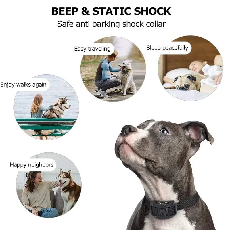 collier anti aboiement électrique tendance -