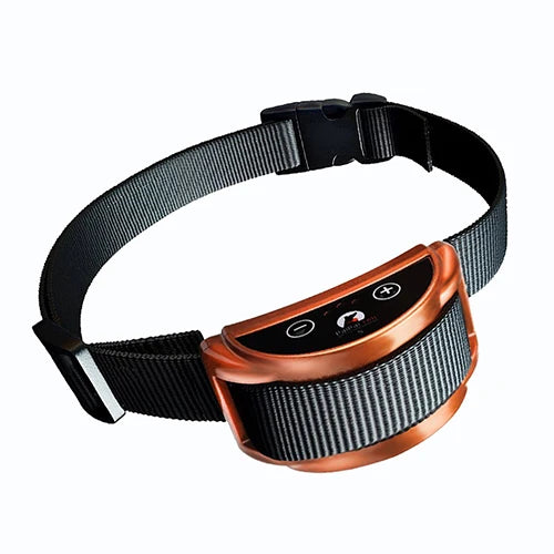 collier anti aboiement pour chien mignon - A