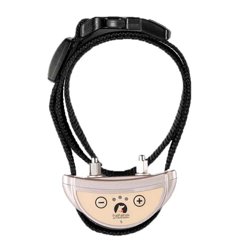 collier anti aboiement pour chien mignon -