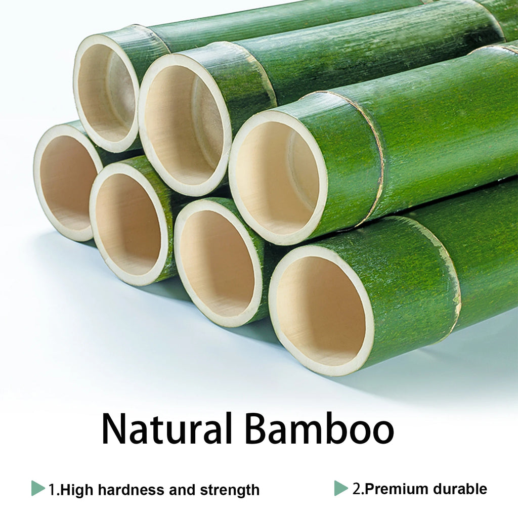 Étagère plante salon moderne -