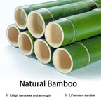 Étagère plante salon moderne -