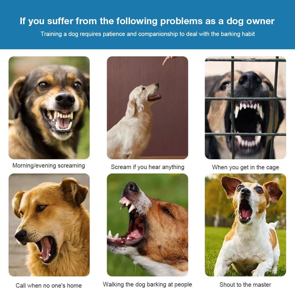 collier anti aboiement électrochoc moderne -