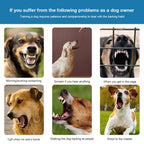 collier anti aboiement électrochoc moderne -