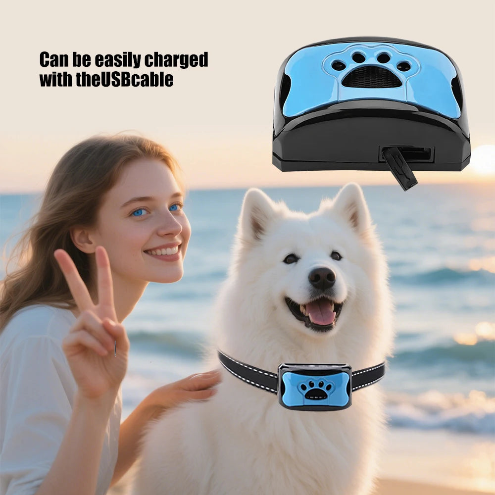 collier anti aboiement rechargeable avec USB -