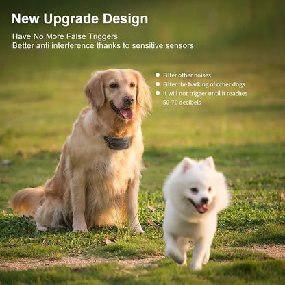 collier anti aboiement électrique imperméable -