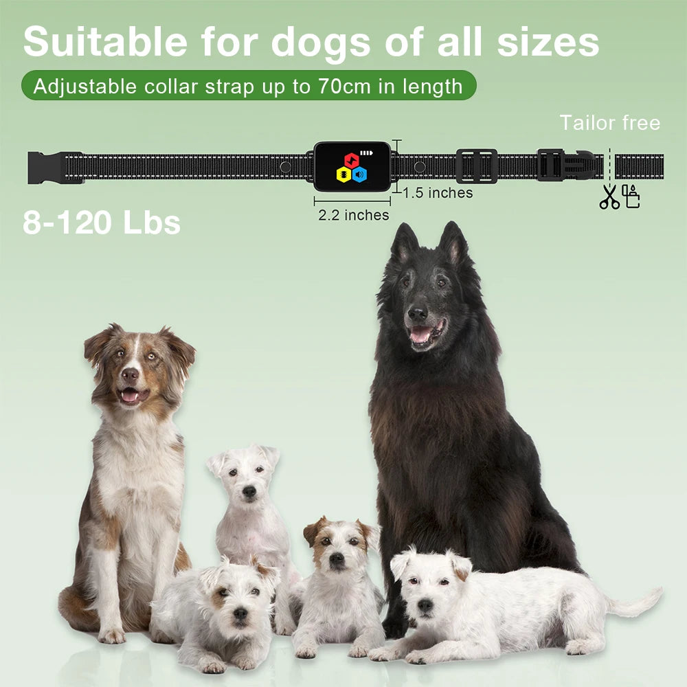 collier anti aboiement rechargeable -