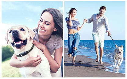 collier anti aboiement avec télécommande ajustable -