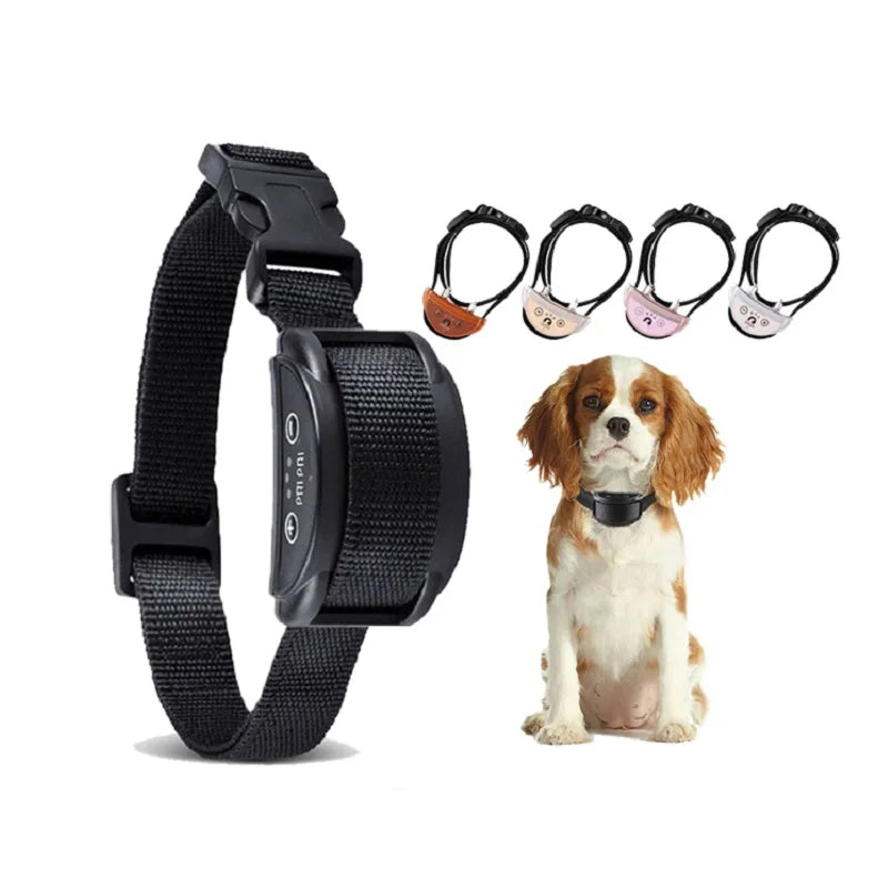 collier anti aboiement pour chien mignon -