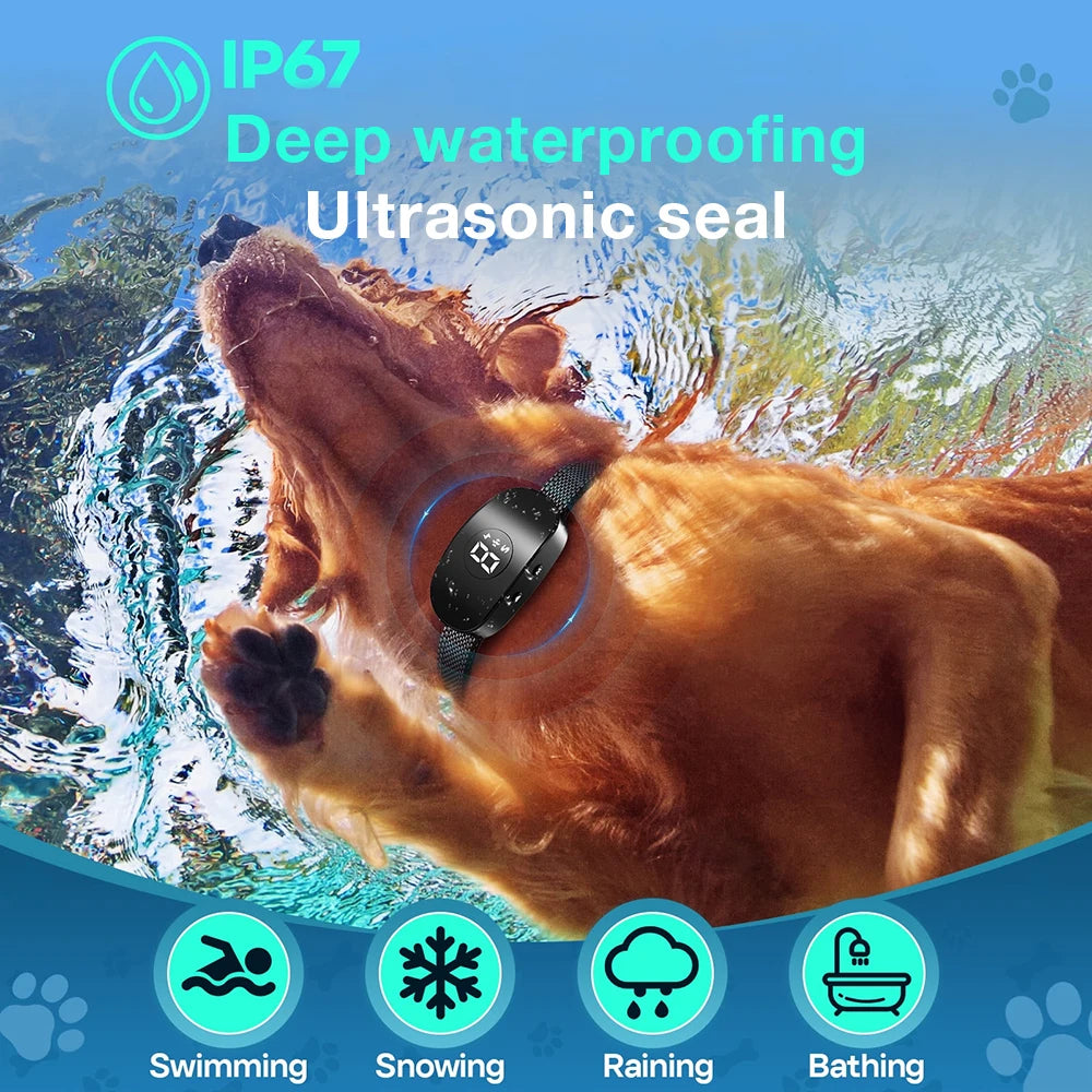 collier anti aboiement électrochoc moderne -