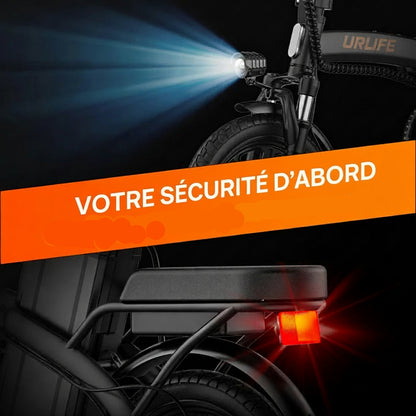 Vélo électrique Adulte Moteur 250 W, Batterie 48 V 7,5 Ah et Style unisexe