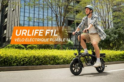 Vélo électrique Adulte Moteur 250 W, Batterie 48 V 7,5 Ah et Style unisexe