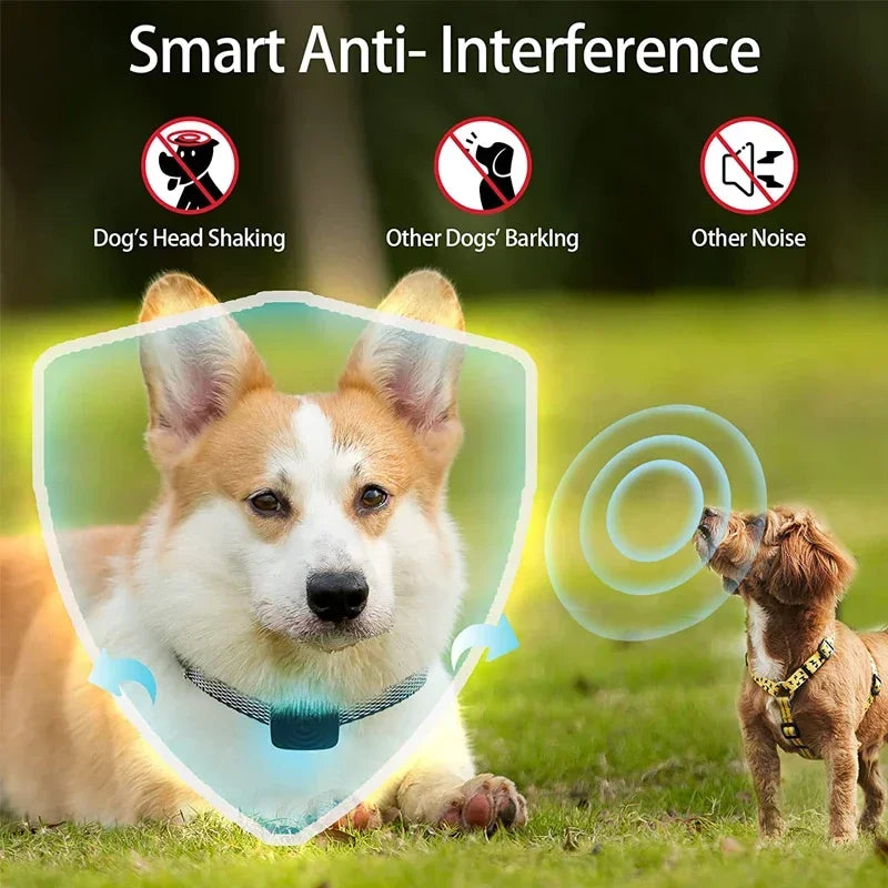 collier anti aboiement Ultrasonique Intelligent -
