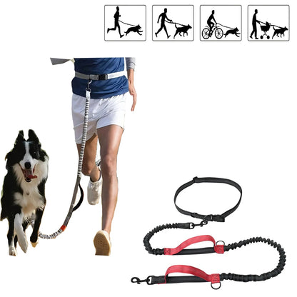 collier anti aboiement rechargeable avec USB -
