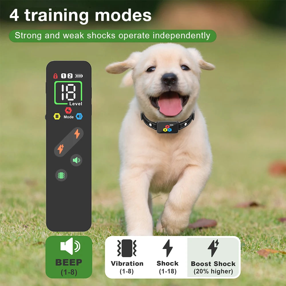 collier anti aboiement rechargeable -