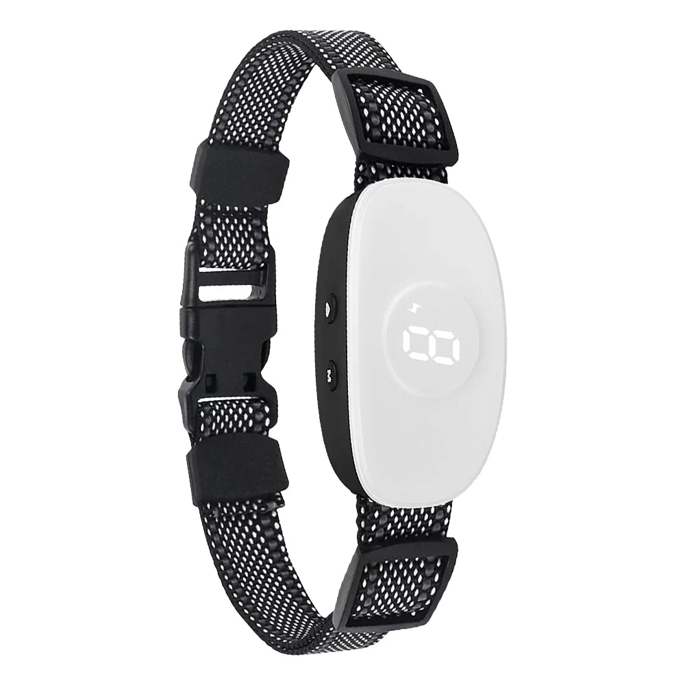 collier anti aboiement électrochoc moderne - Blanc