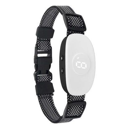 collier anti aboiement électrochoc moderne - Blanc